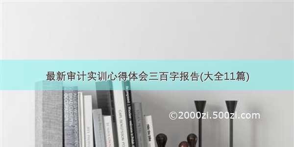 最新审计实训心得体会三百字报告(大全11篇)