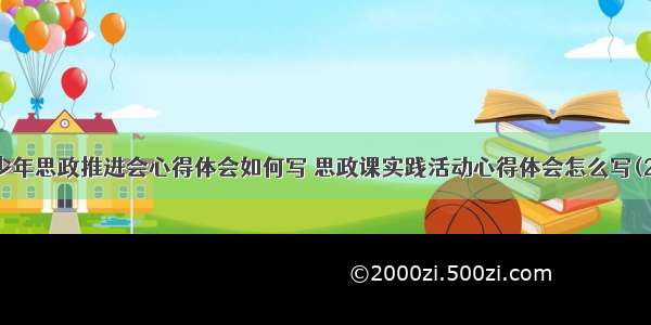 青少年思政推进会心得体会如何写 思政课实践活动心得体会怎么写(2篇)