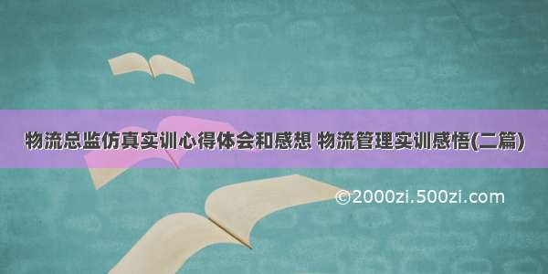 物流总监仿真实训心得体会和感想 物流管理实训感悟(二篇)