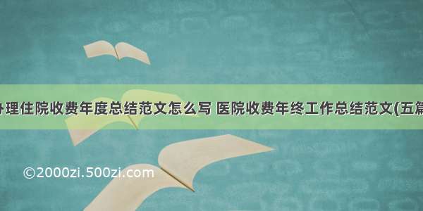 办理住院收费年度总结范文怎么写 医院收费年终工作总结范文(五篇)