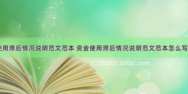 资金使用滞后情况说明范文范本 资金使用滞后情况说明范文范本怎么写(四篇)