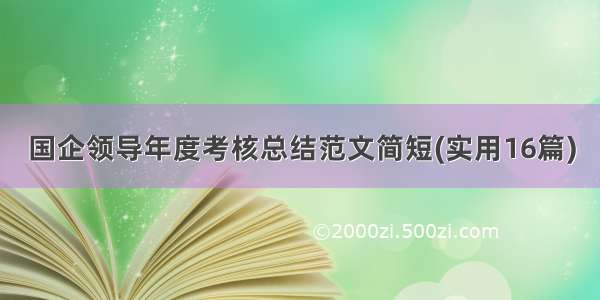 国企领导年度考核总结范文简短(实用16篇)