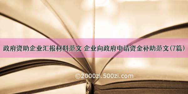 政府资助企业汇报材料范文 企业向政府申请资金补助范文(7篇)