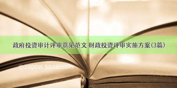 政府投资审计评审意见范文 财政投资评审实施方案(3篇)