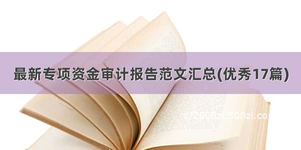 最新专项资金审计报告范文汇总(优秀17篇)