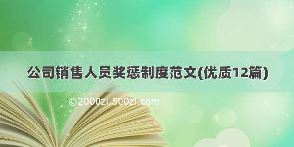 公司销售人员奖惩制度范文(优质12篇)