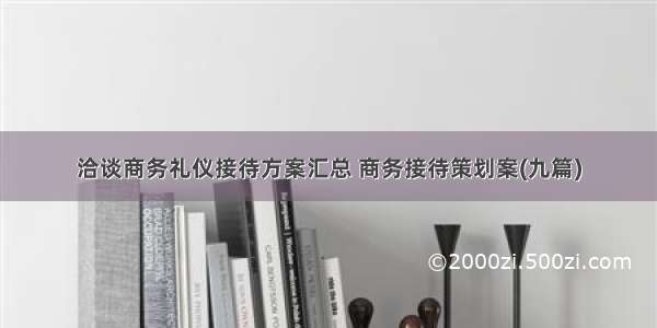 洽谈商务礼仪接待方案汇总 商务接待策划案(九篇)