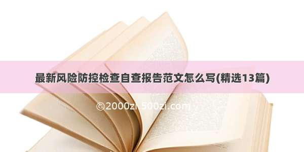 最新风险防控检查自查报告范文怎么写(精选13篇)