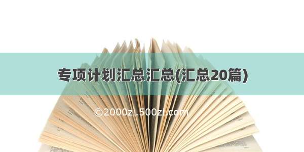 专项计划汇总汇总(汇总20篇)