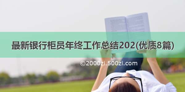 最新银行柜员年终工作总结202(优质8篇)