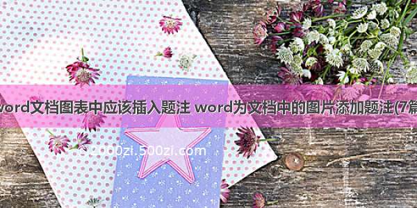 word文档图表中应该插入题注 word为文档中的图片添加题注(7篇)