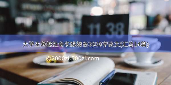 大学生寒假社会实践报告3000字论文(汇总14篇)