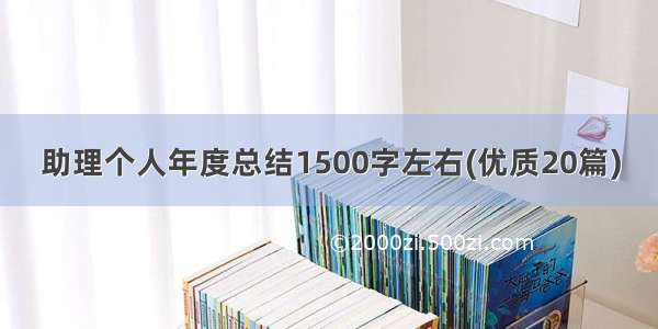 助理个人年度总结1500字左右(优质20篇)