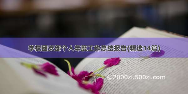 学校团支部个人年度工作总结报告(精选14篇)