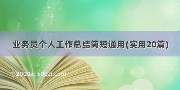 业务员个人工作总结简短通用(实用20篇)