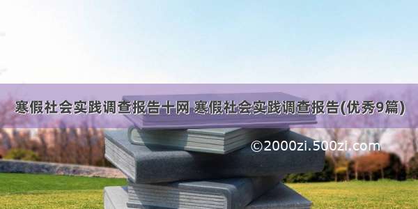 寒假社会实践调查报告十网 寒假社会实践调查报告(优秀9篇)