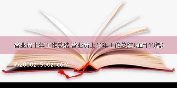 营业员半年工作总结 营业员上半年工作总结(通用13篇)