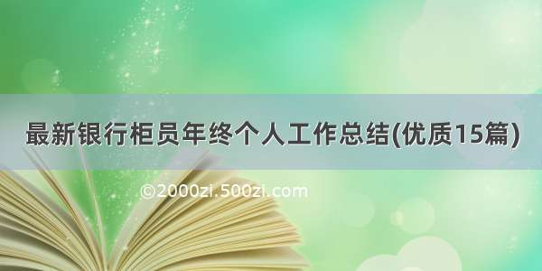 最新银行柜员年终个人工作总结(优质15篇)