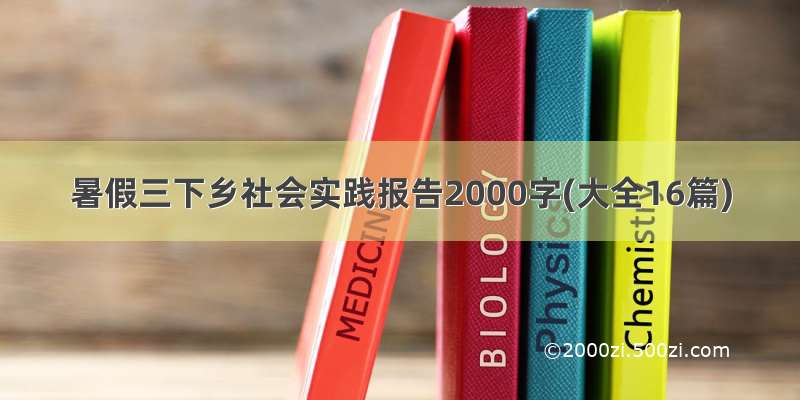 暑假三下乡社会实践报告2000字(大全16篇)