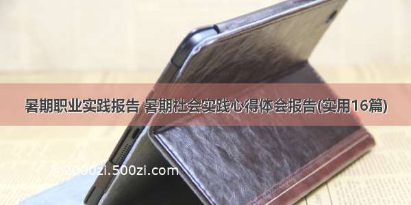 暑期职业实践报告 暑期社会实践心得体会报告(实用16篇)