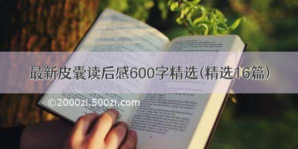 最新皮囊读后感600字精选(精选16篇)