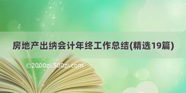 房地产出纳会计年终工作总结(精选19篇)