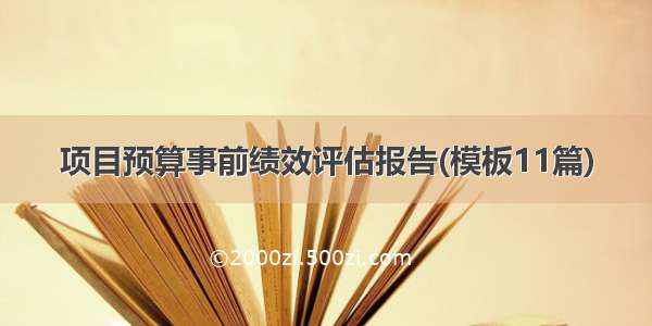 项目预算事前绩效评估报告(模板11篇)