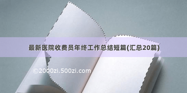 最新医院收费员年终工作总结短篇(汇总20篇)