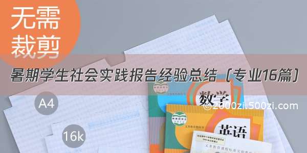 暑期学生社会实践报告经验总结（专业16篇）