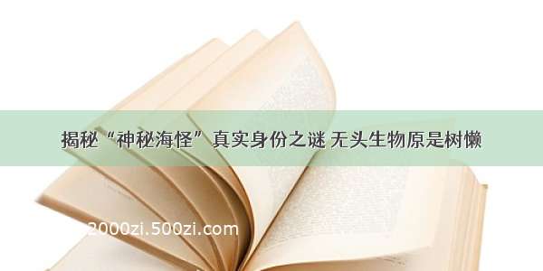 揭秘“神秘海怪”真实身份之谜 无头生物原是树懒