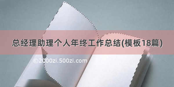 总经理助理个人年终工作总结(模板18篇)