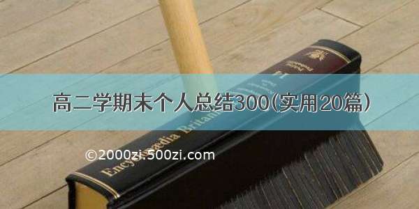 高二学期末个人总结300(实用20篇)