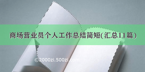 商场营业员个人工作总结简短(汇总11篇)