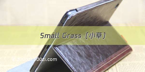Small Grass（小草）
