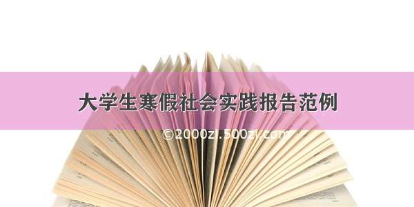 大学生寒假社会实践报告范例