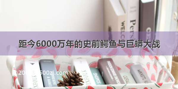 距今6000万年的史前鳄鱼与巨蟒大战