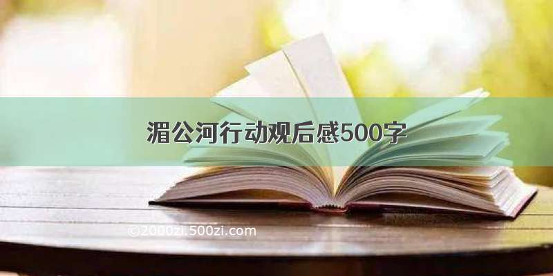 湄公河行动观后感500字