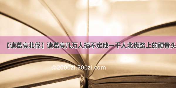 【诸葛亮北伐】诸葛亮几万人搞不定他一千人北伐路上的硬骨头