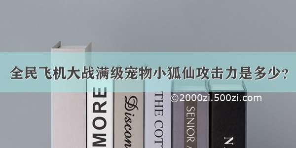 全民飞机大战满级宠物小狐仙攻击力是多少？