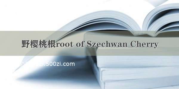 野樱桃根root of Szechwan Cherry