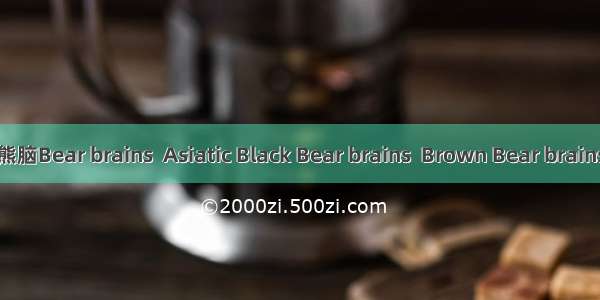 熊脑Bear brains  Asiatic Black Bear brains  Brown Bear brains
