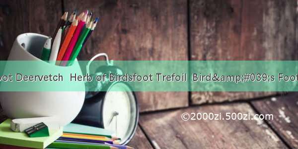 地羊鹊Herb of Birdsfoot Deervetch  Herb of Birdsfoot Trefoil  Bird&#039;s Foot Trefoil  Bird&#0