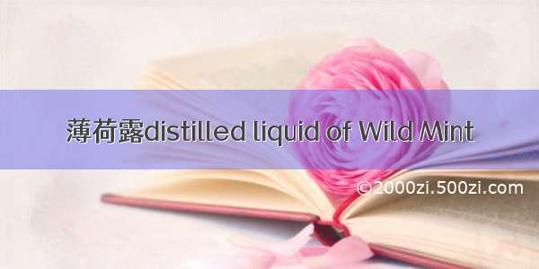 薄荷露distilled liquid of Wild Mint