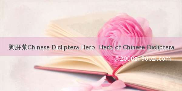 狗肝菜Chinese Dicliptera Herb  Herb of Chinese Dicliptera