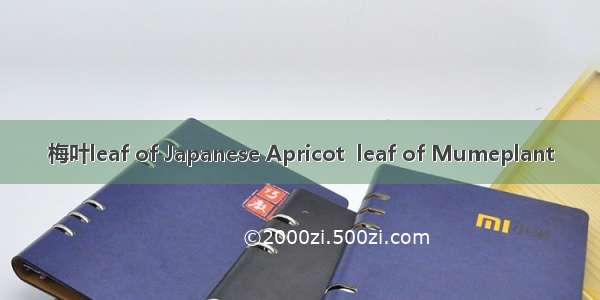 梅叶leaf of Japanese Apricot  leaf of Mumeplant