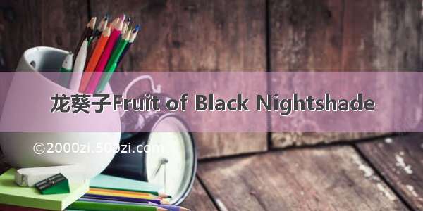 龙葵子Fruit of Black Nightshade