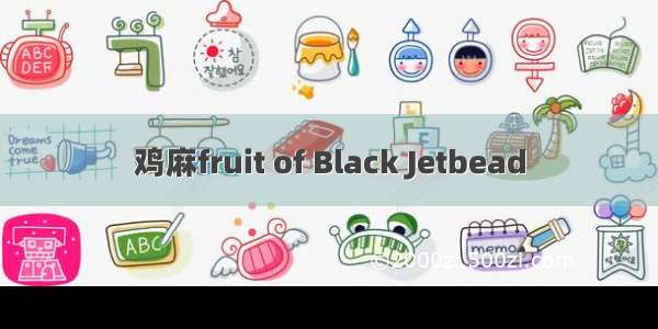 鸡麻fruit of Black Jetbead
