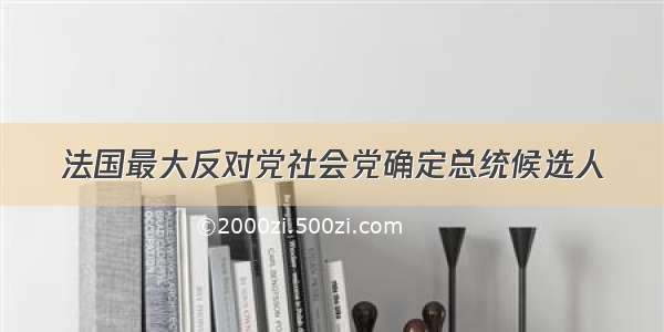 法国最大反对党社会党确定总统候选人