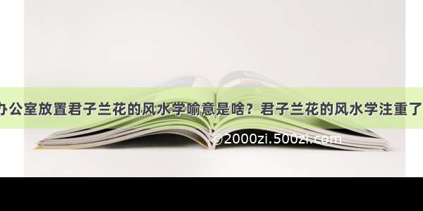 公司办公室放置君子兰花的风水学喻意是啥？君子兰花的风水学注重了解否？