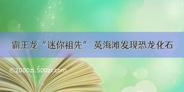 霸王龙“迷你祖先” 英海滩发现恐龙化石